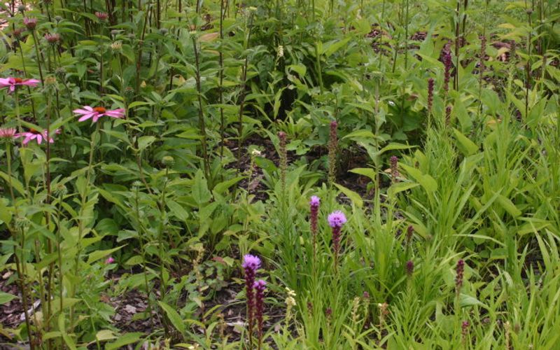 Lower Fertilizer And Chemical Usage