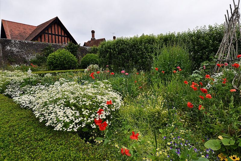 Reducing Chemical Dependence Benefits Everyone