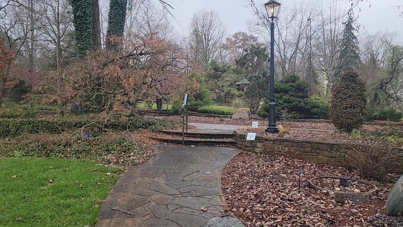 Baker Arboretum & Downing Museum