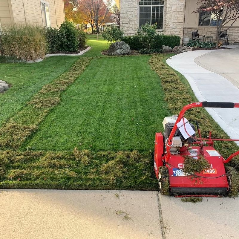Reducing Thatch Helps Prevent Future Growth