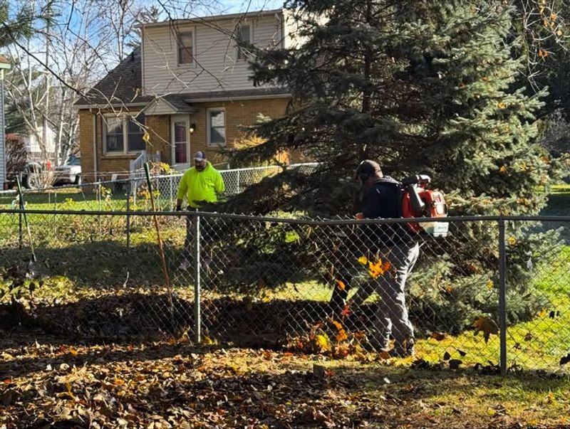 The Tree Owner Has Responsibilities Under Louisiana Law