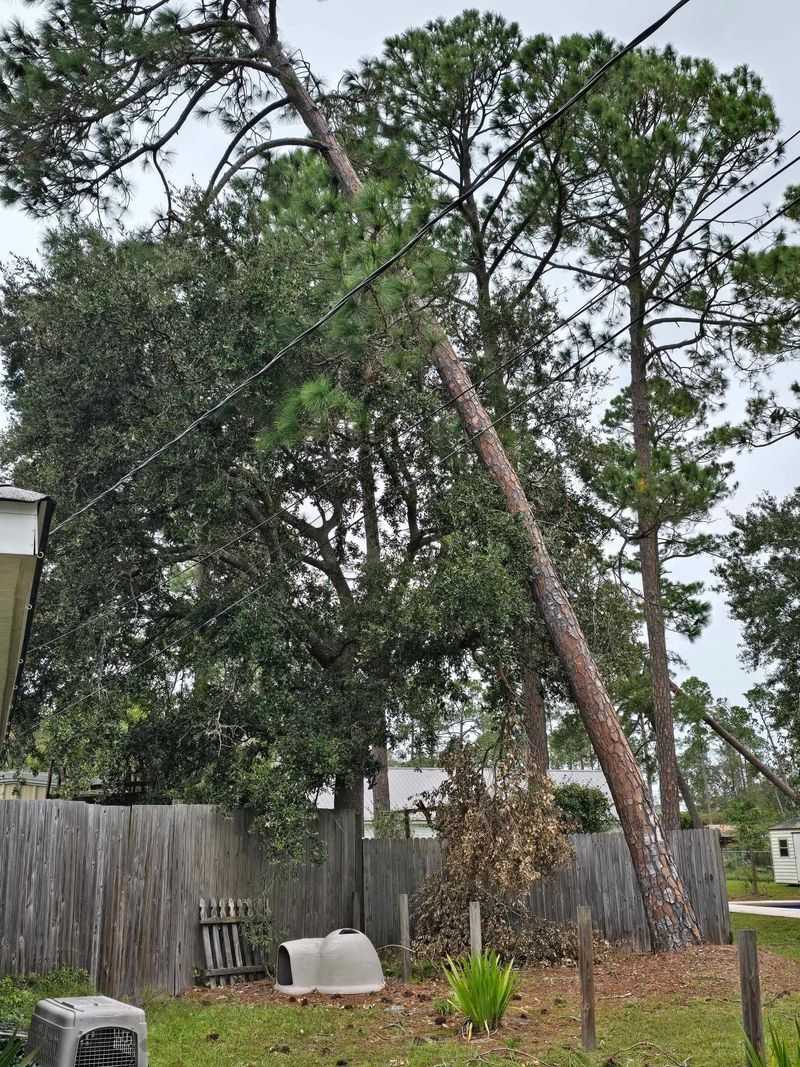 Written Notice To Your Neighbor Is Crucial First Step