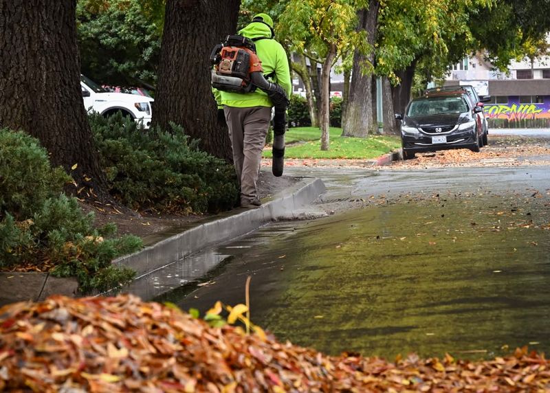 Municipal Ordinances May Require Leaf Removal From Sidewalks