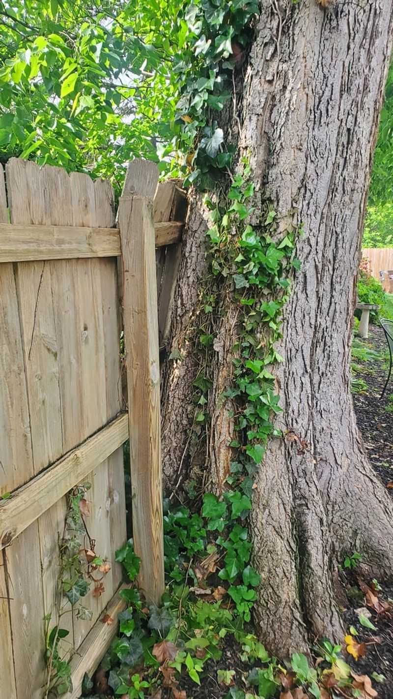 Proving Negligence Changes Everything About Liability