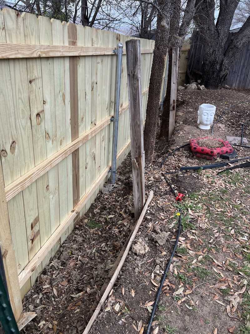 Responsibility For Damage Falls On The Plant Owner