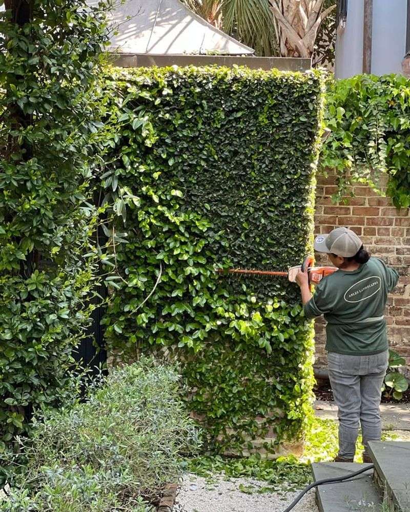 Trimming Must Not Harm The Health Of The Plant On Neighbor's Property