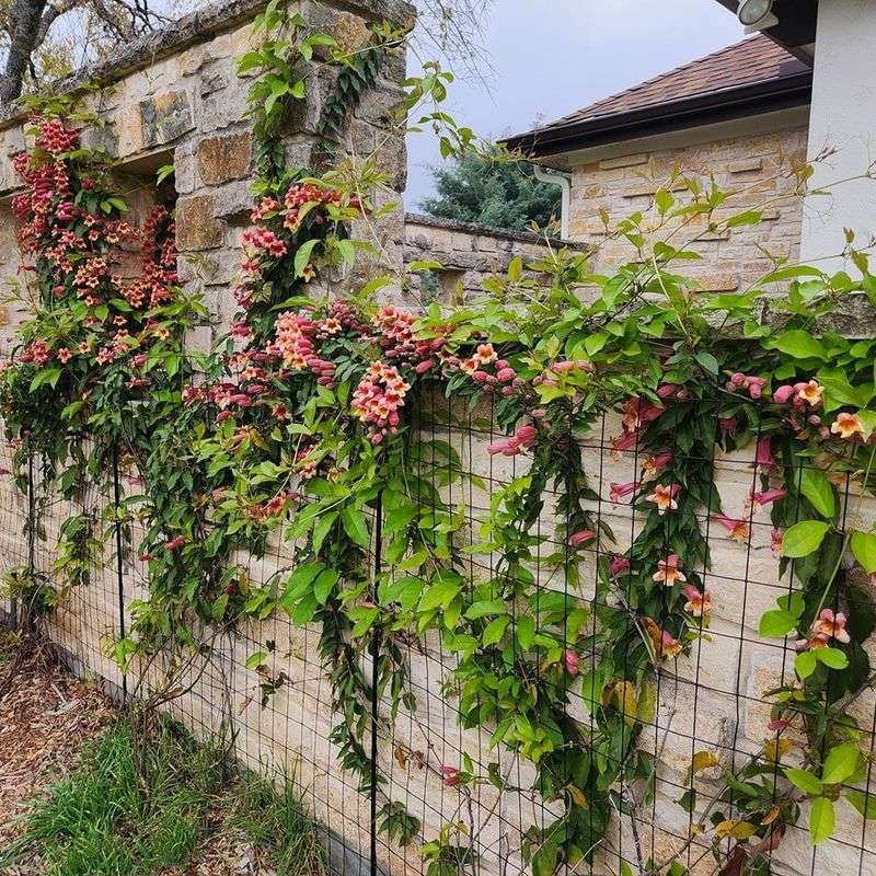Trespassing Onto Neighbor's Property to Trim Is Illegal