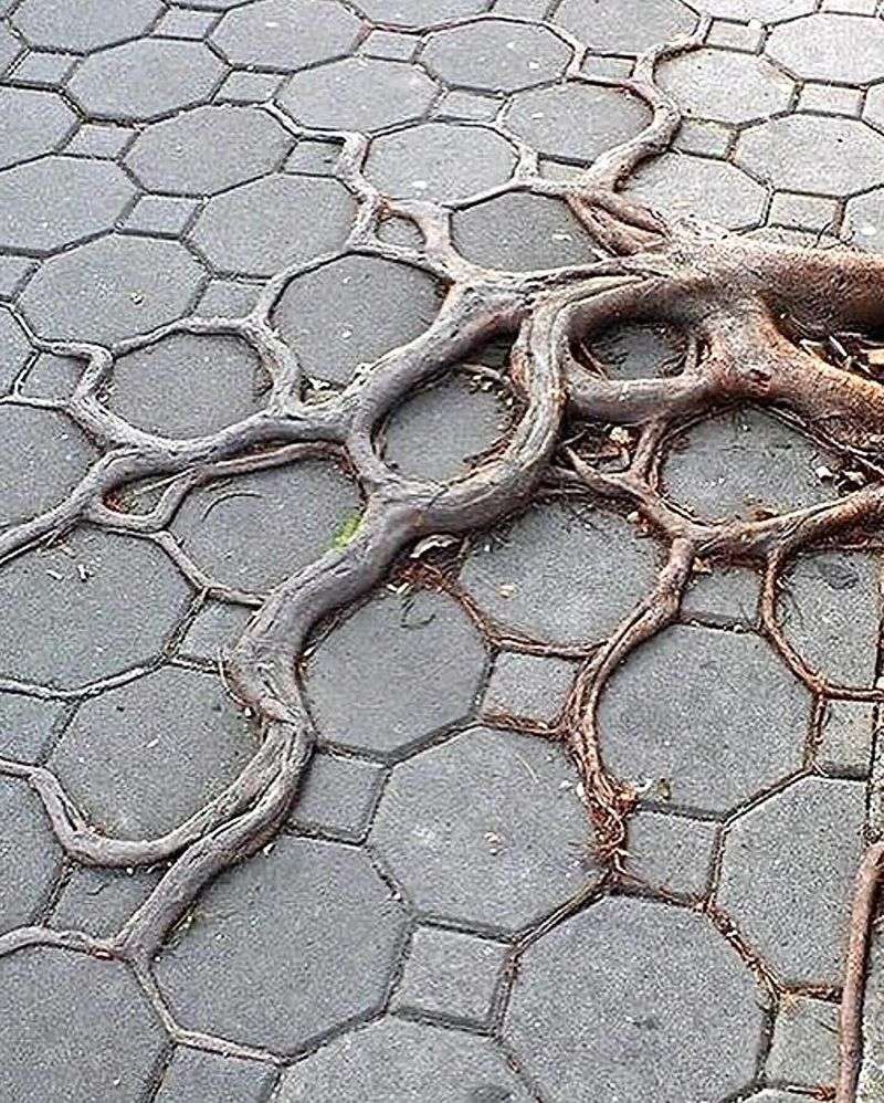 Self-Help Remedies Have Strict Limitations