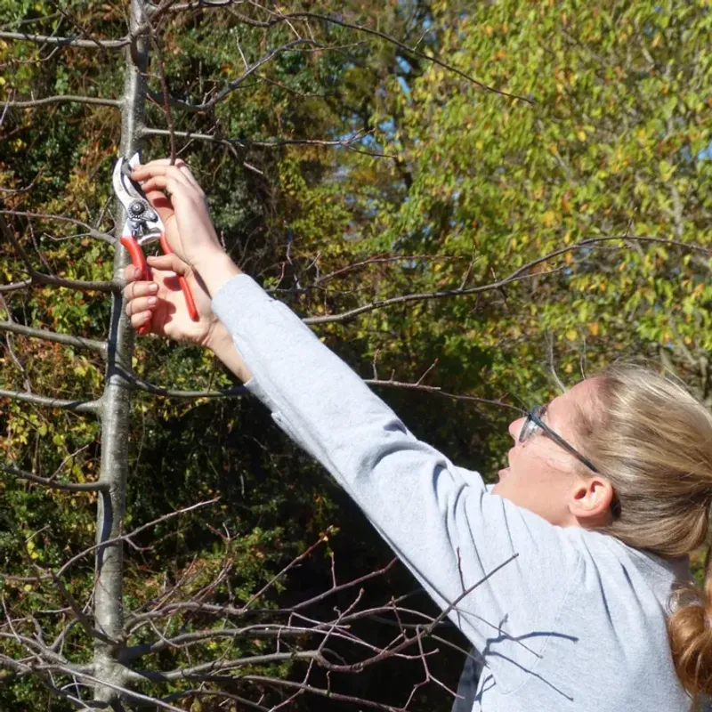 Don't Damage Or Destroy The Plant