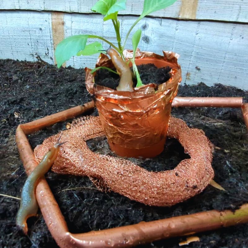 Physical Barriers Provide Immediate Protection Without Chemicals