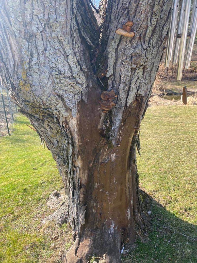 Negligence Changes Everything About Liability