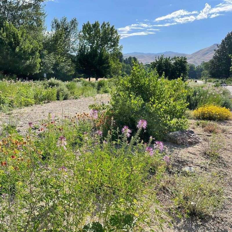 Filing A Formal Complaint With Local Authorities