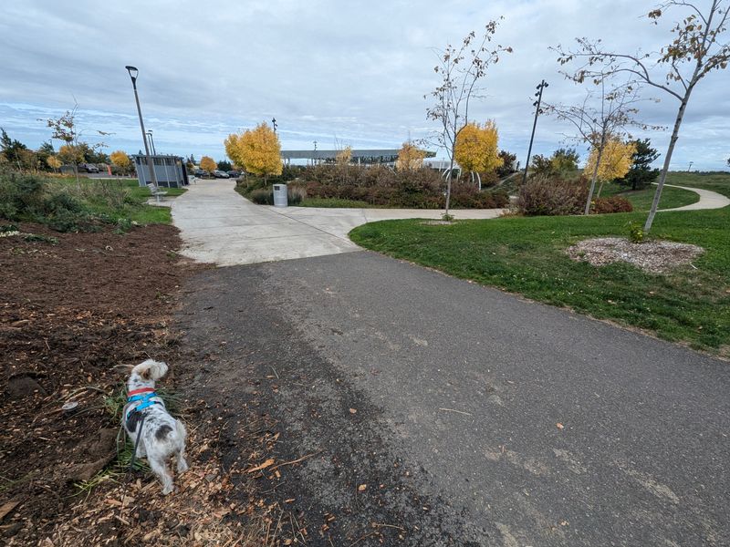 Cully Neighborhood Community Garden