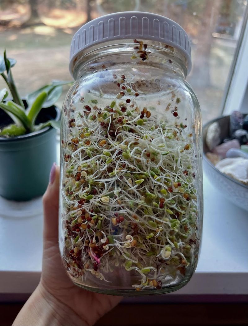 Incredibly Quick Growing Cycles