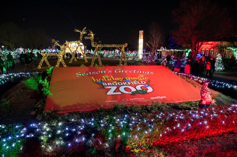 Holiday Magic At Brookfield Zoo Gardens