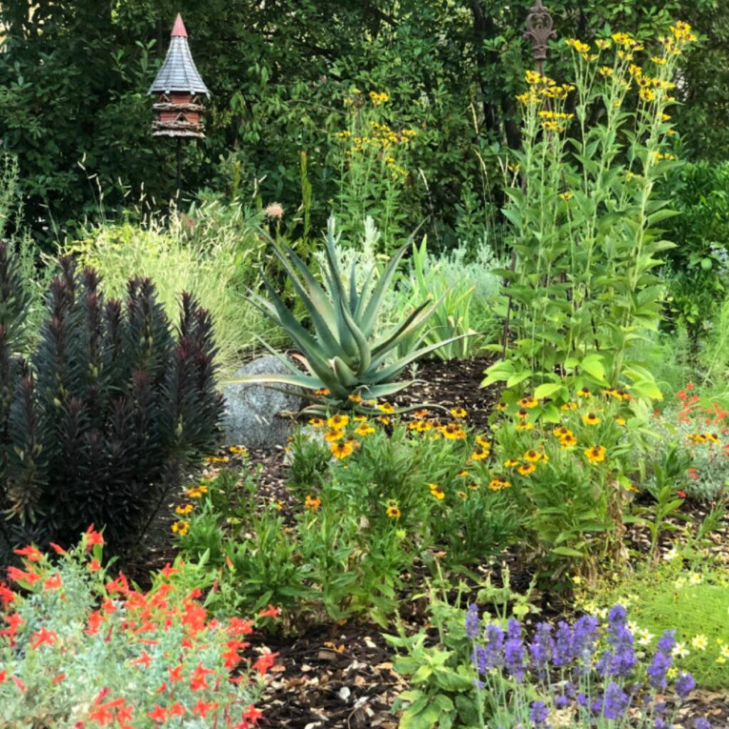 native plants in garden