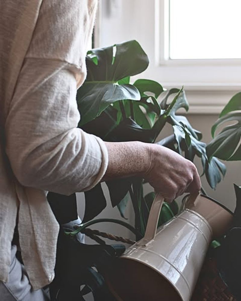 Adjust Your Watering Schedule