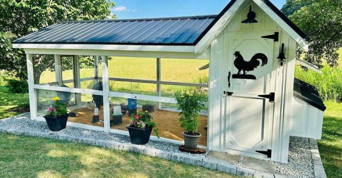 chicken coop