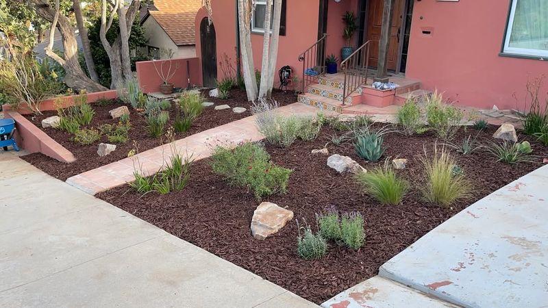 Replacing Traditional Lawns With Drought-Tolerant Plants