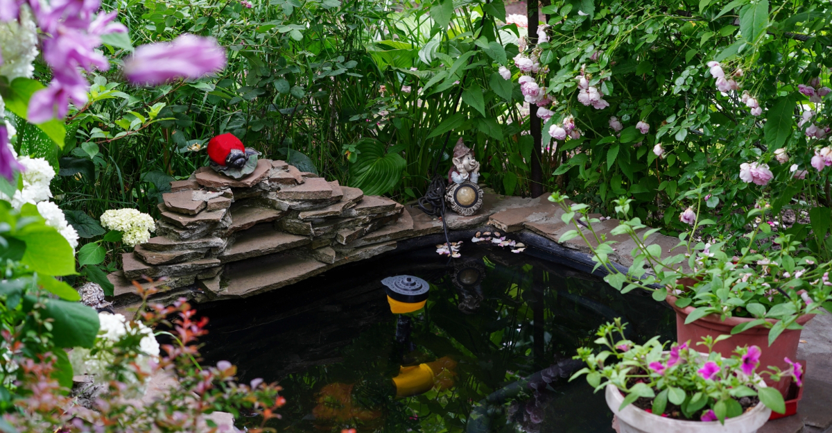 10 Landscaping Design Choices That Could Soon Face Rules In Arizona