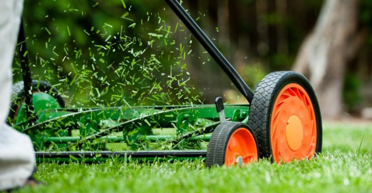 lawn mower in motion