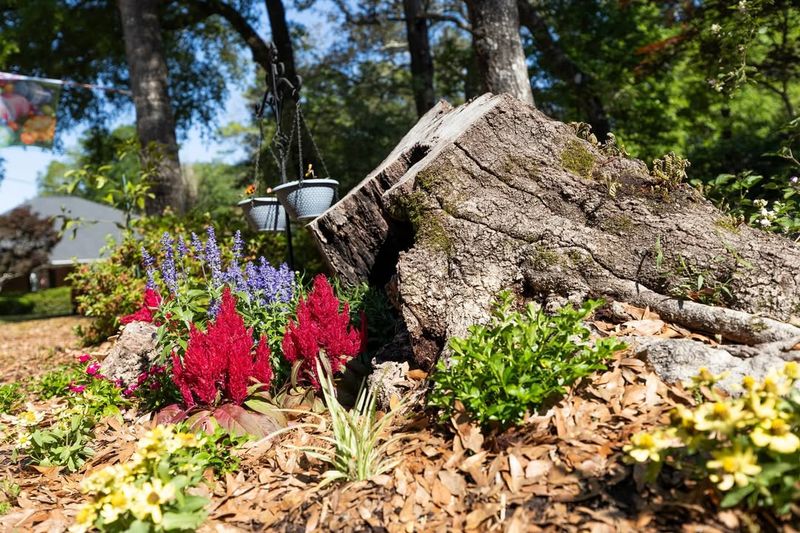 Mulch Everything To Reduce Watering And Weeding