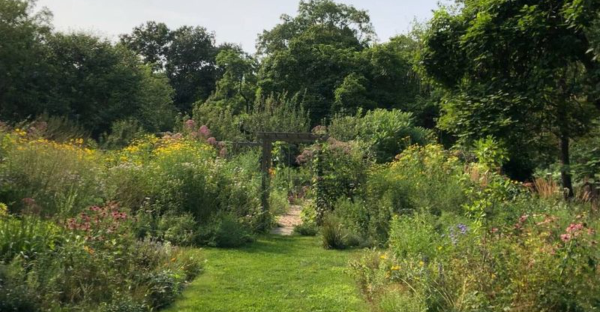 10 Lazy Gardening Hacks Florida Gardeners Use To Save Time And Still Get Results