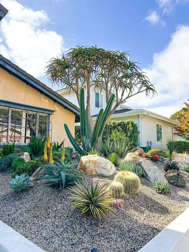 Choose Desert-Adapted Plants That Thrive On Neglect