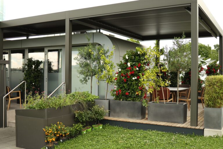 modern patio with pergola and plants