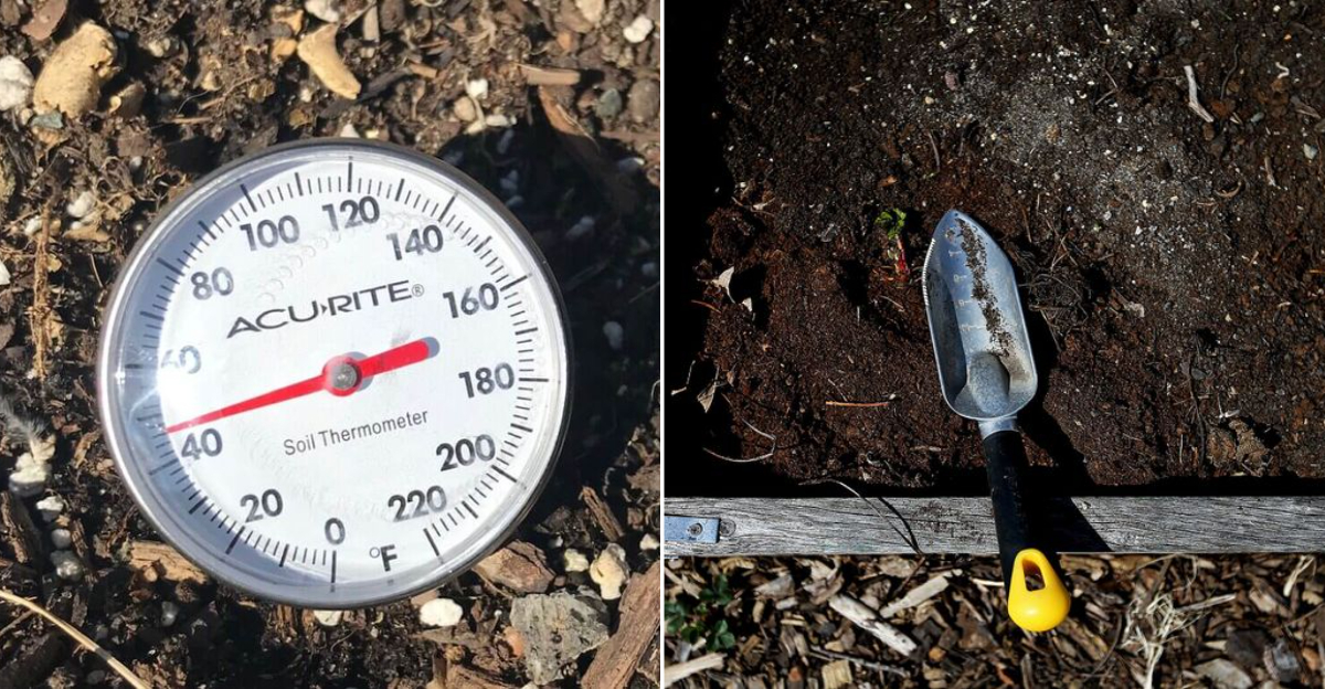 10 Signs Your Oregon Garden Is Ready To Plant In Early Spring