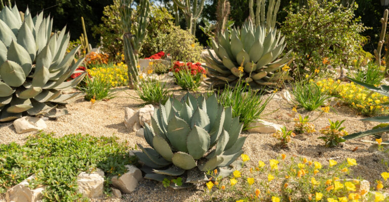 garden (featured image)