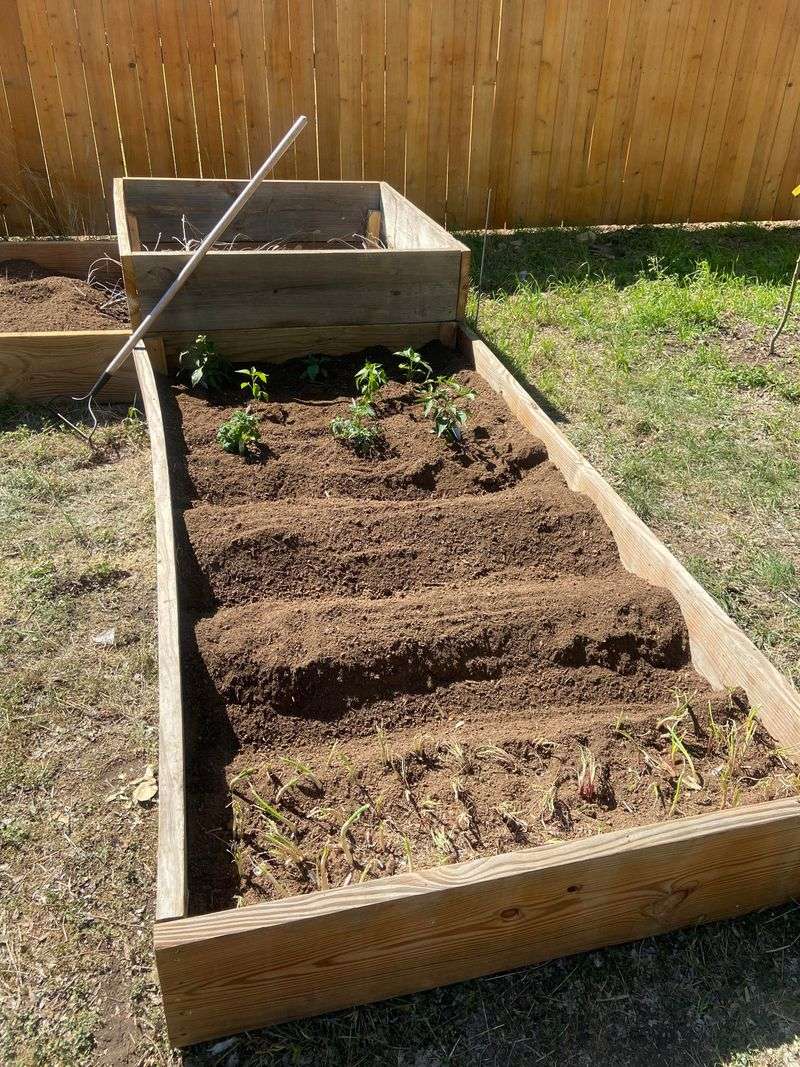 Give Plants More Breathing Room