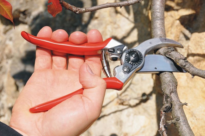 Hand Pruners