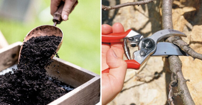 raised bed soil scoop and hand pruners