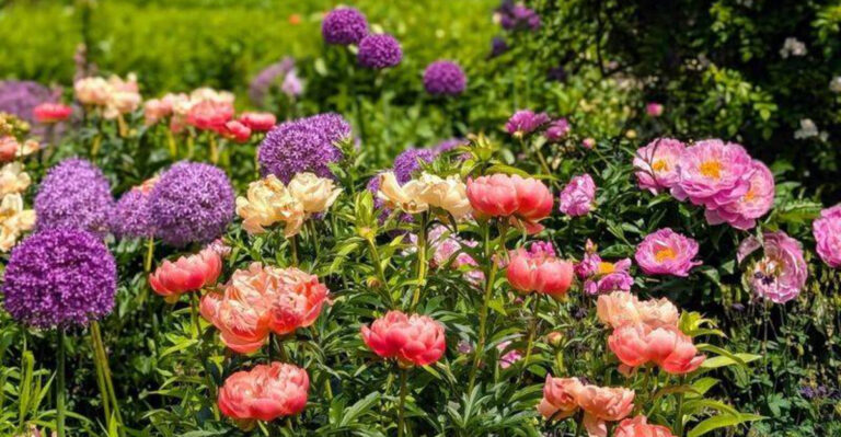 blooming flowers in garden