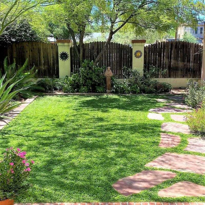 Installing A Traditional Grass Lawn