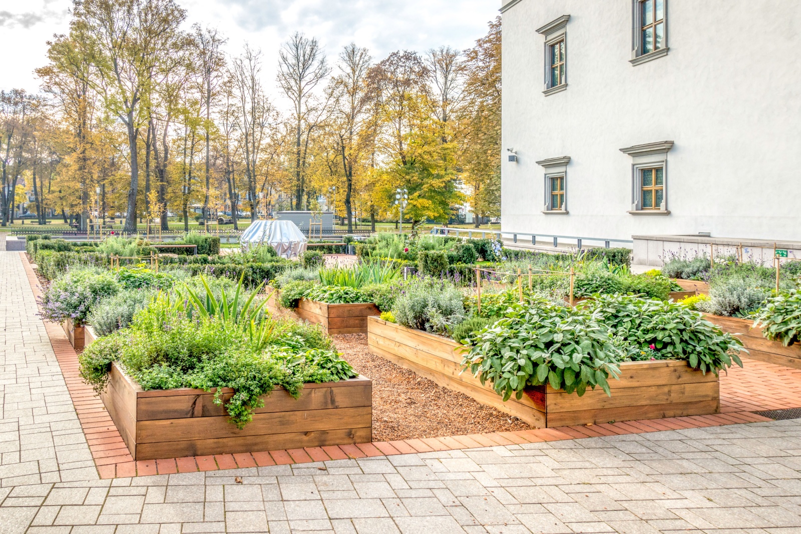 Raided beds in an urban garden