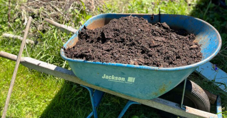 mulch (featured image)