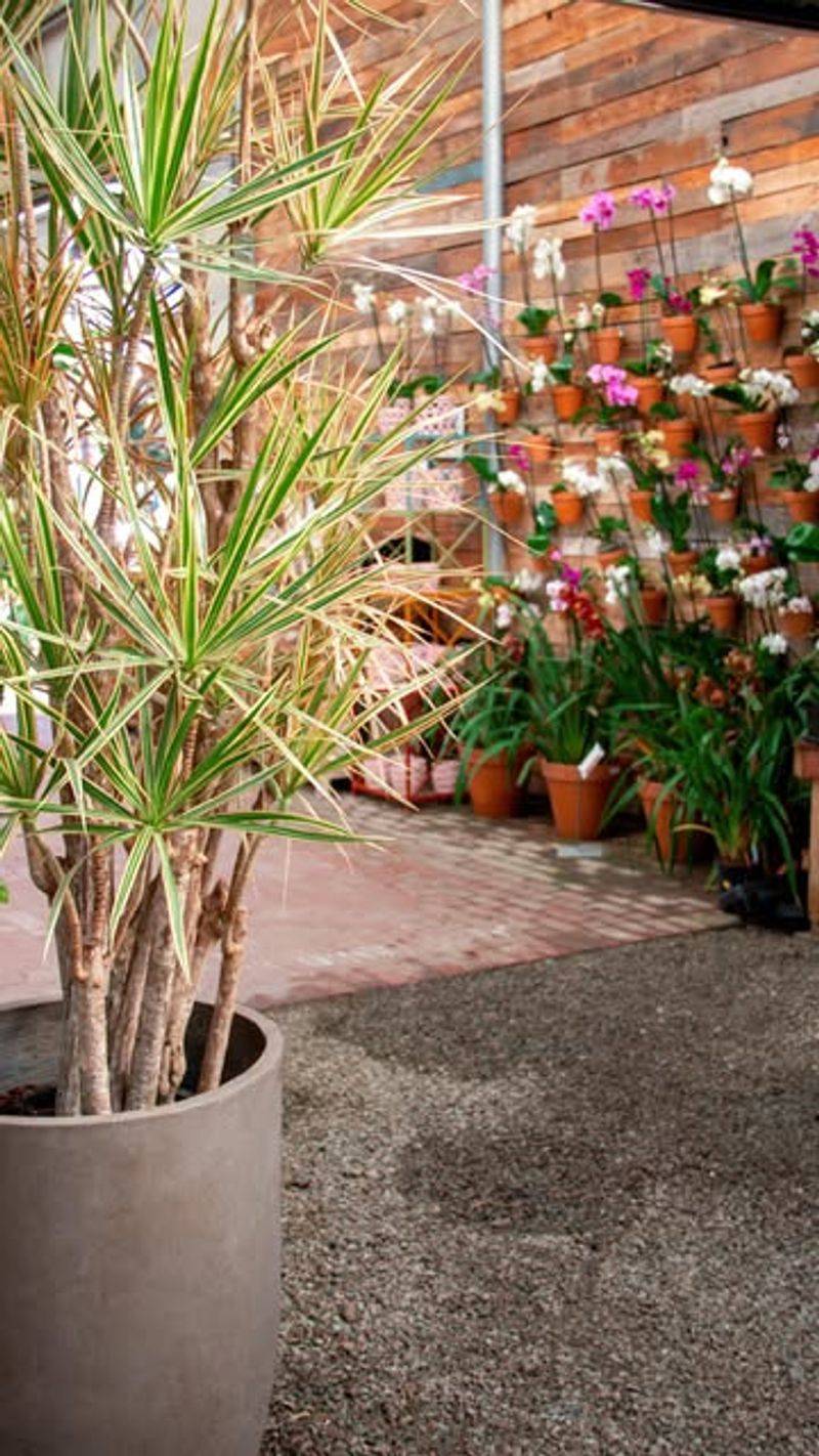 Adjust Watering Schedules For Winter Dormancy