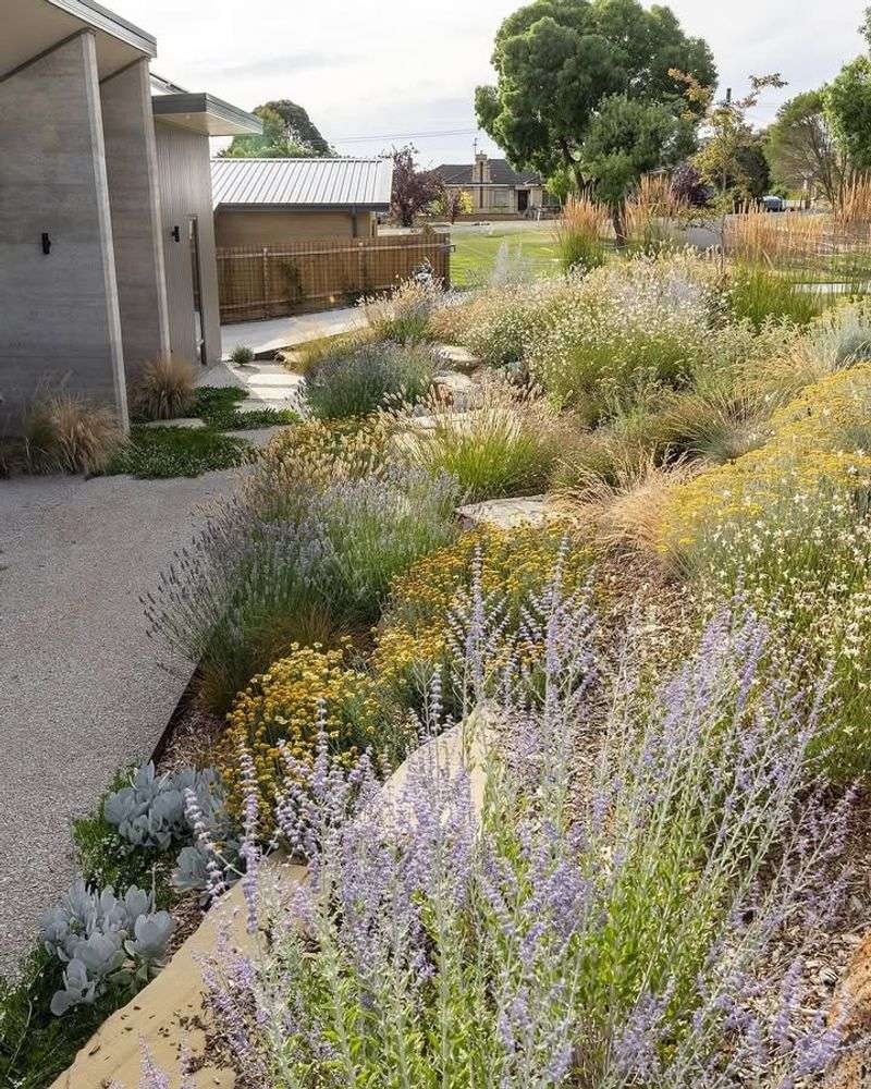 Drought-Tolerant Native Plant Garden Beds