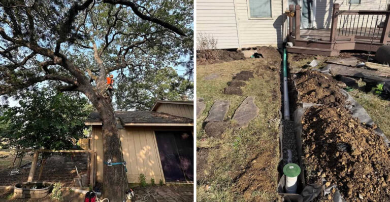 tree maintenance and yard drainage pipe installation