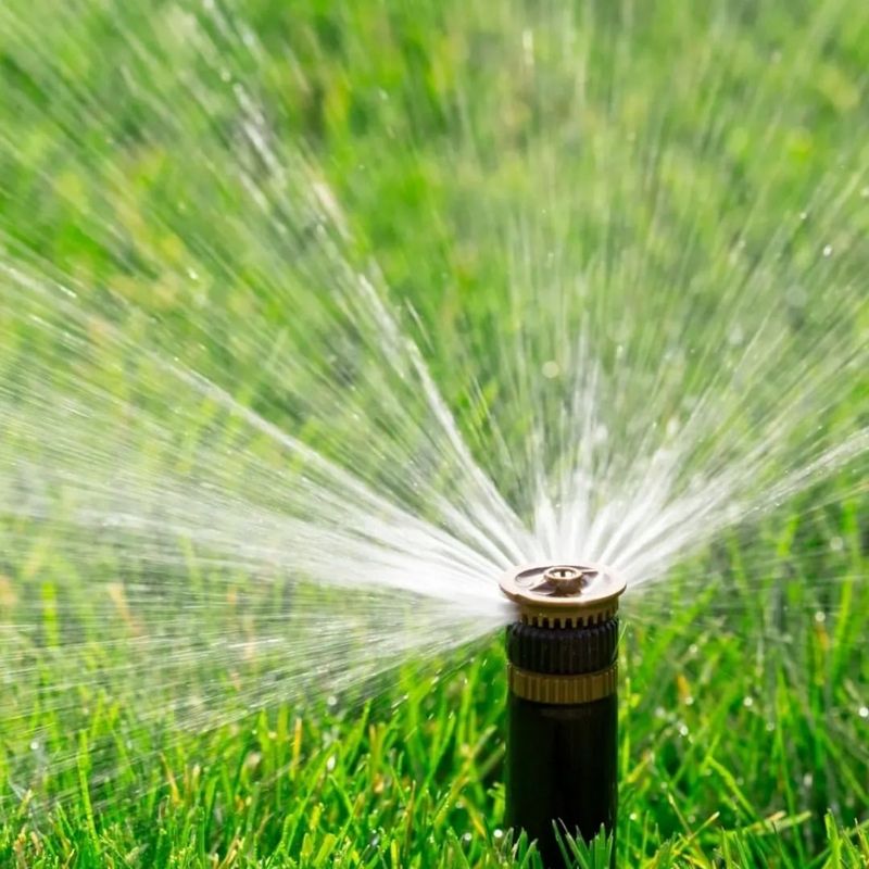 Excessive Lawn Watering During Drought Periods