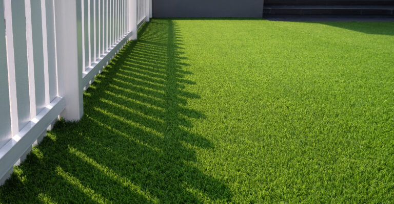 backyard (featured image)