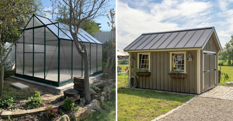 greenhouse and garden shed