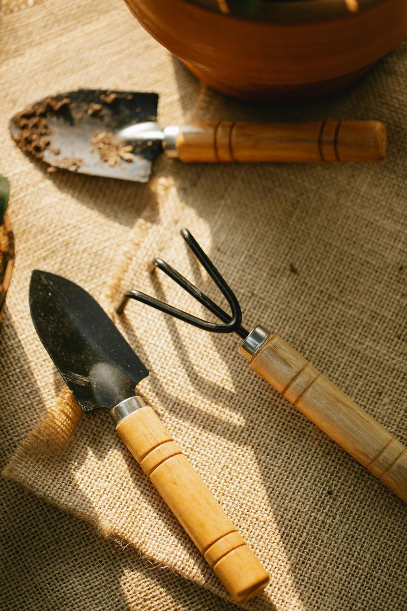 Clean And Sharpen Your Garden Tools