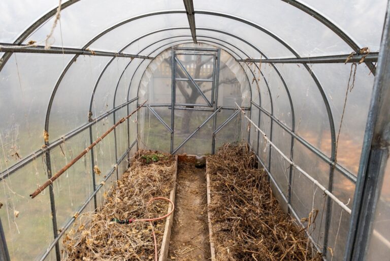greenhouse filled with hay and hay bales