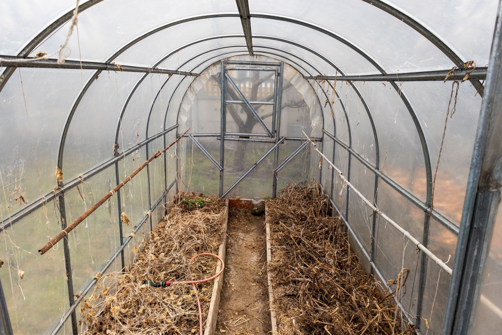 13 Quick DIY Greenhouse Hacks Every Florida Gardener Needs This Winter