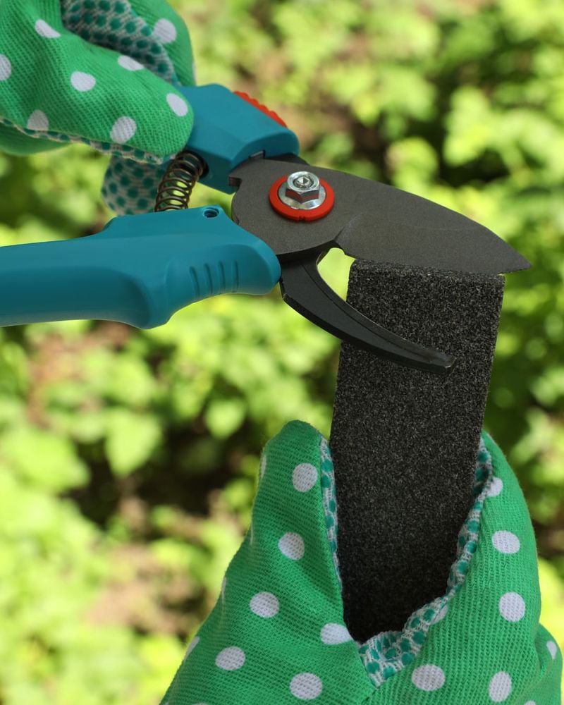 Clean And Sharpen Your Garden Tools