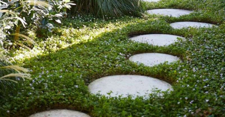 garden path