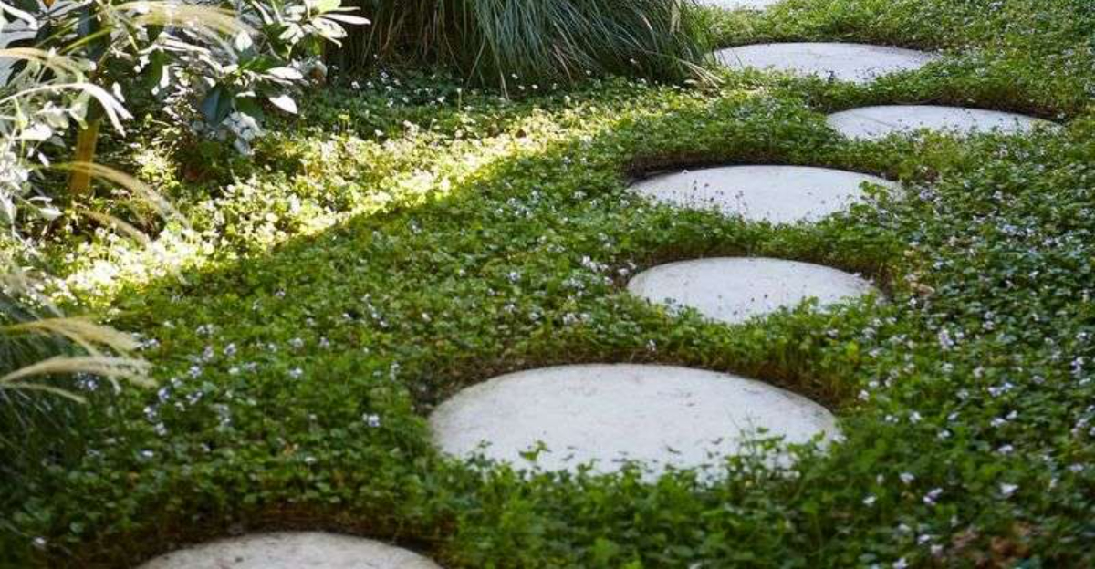 14 Garden Path Ideas That Can Completely Change A Colorado Backyard